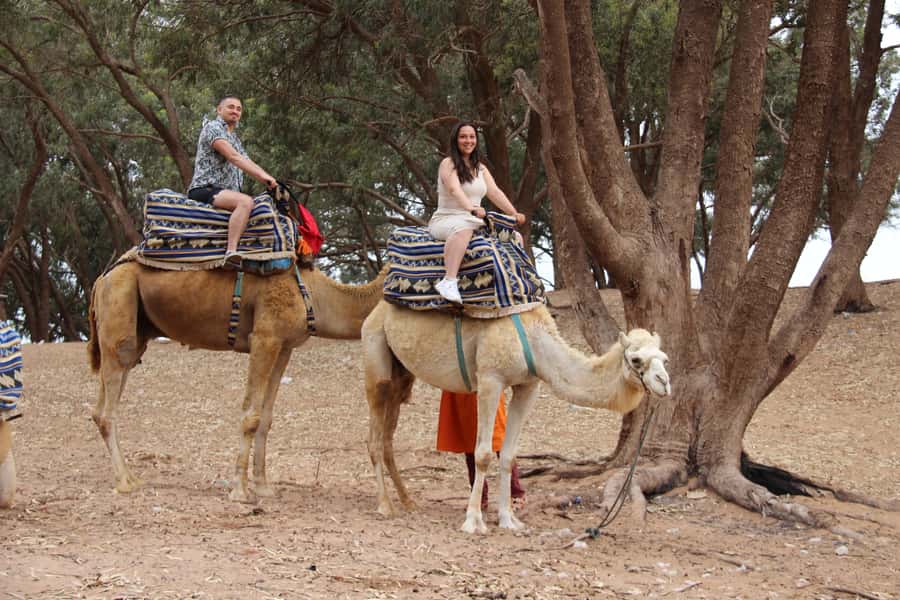From Agadir or Taghazout: Camel Ride Berber Tour Experience - What this Agadir camel ride is really like