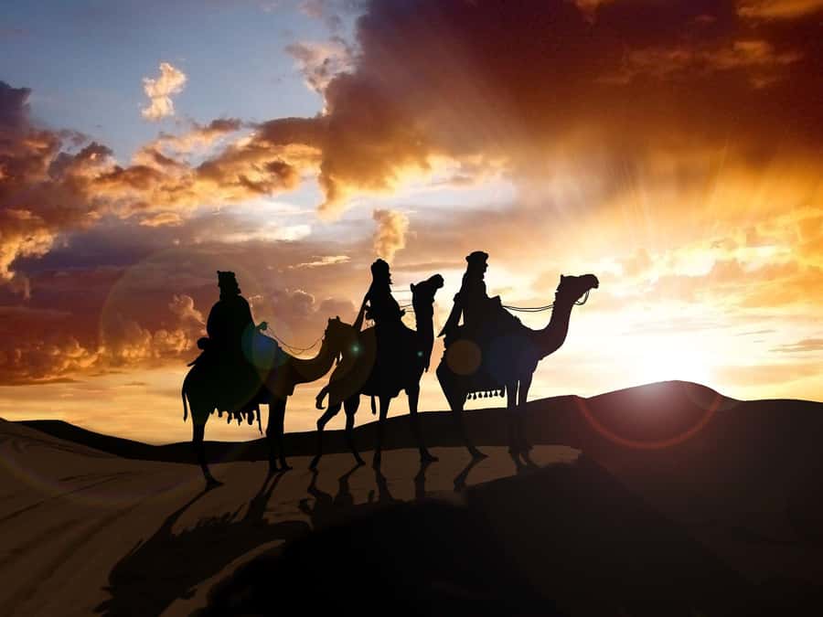 From Agadir or Taghazout: Camel Ride Berber Tour Experience - Mounting the camel and finding your balance