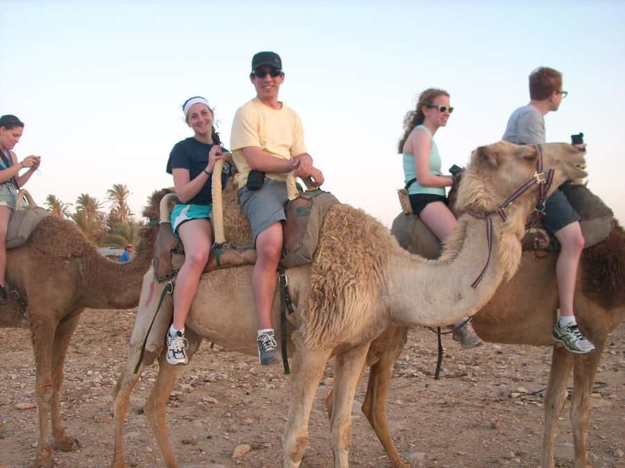 From Agadir or Taghazout: Camel Ride Berber Tour Experience - Flamingos and birdwatching beside the river