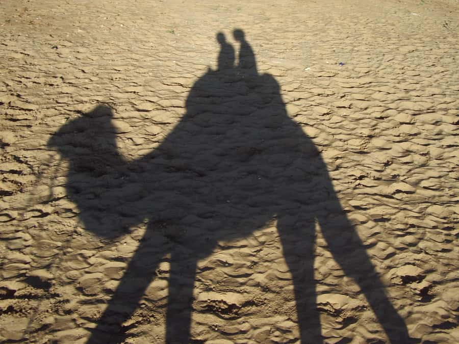 From Agadir or Taghazout: Camel Ride Berber Tour Experience - Best time to go and what the weather changes