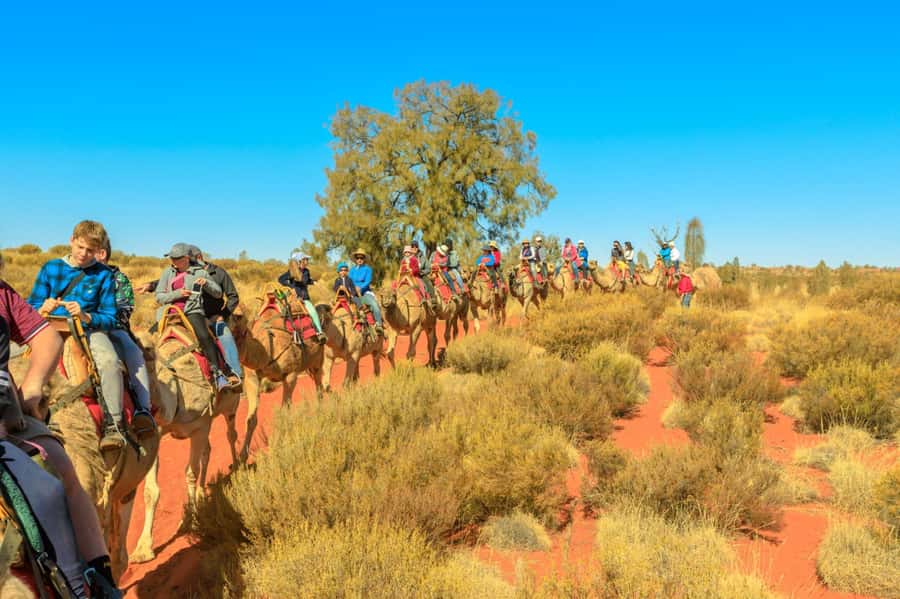 From Agadir or Taghazout: Camel Ride Berber Tour Experience - Hotel pickup and the short ride to the stables