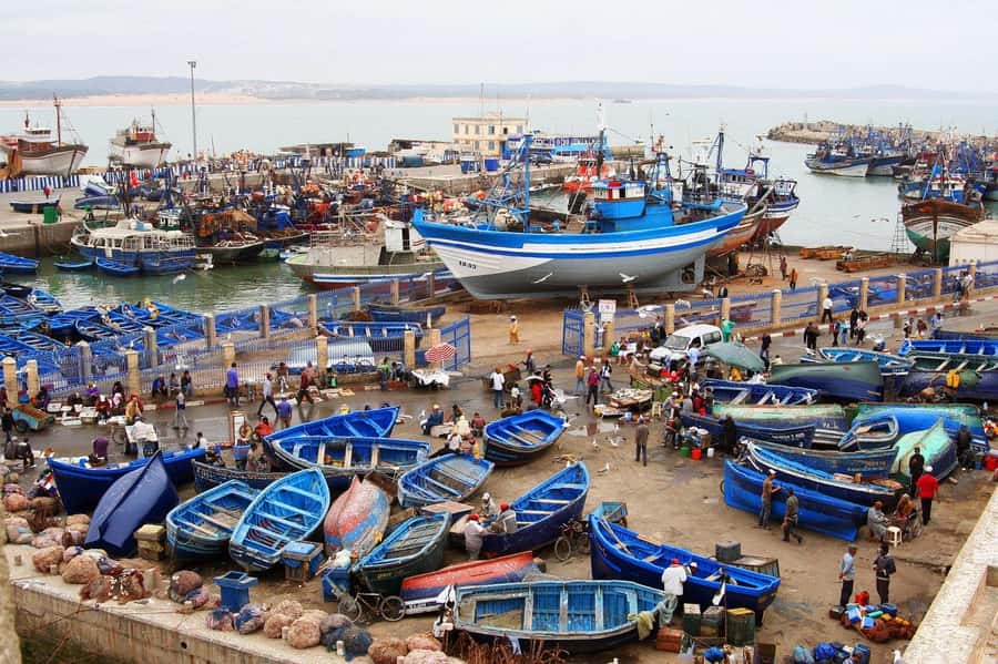 From Agadir or Taghazout : Essaouira Day Trip - Key points to know before booking