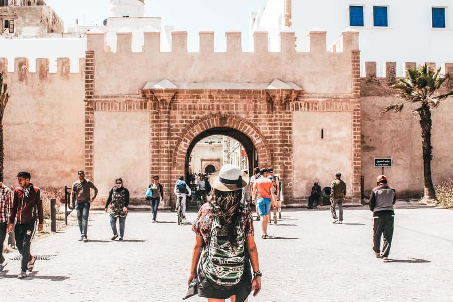 From Agadir or Taghazout : Essaouira Day Trip - The argan-tree goat stop
