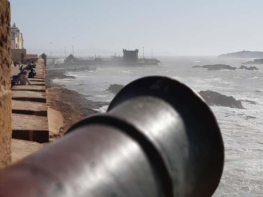 From Agadir or Taghazout : Essaouira Day Trip - Who will enjoy this day trip most