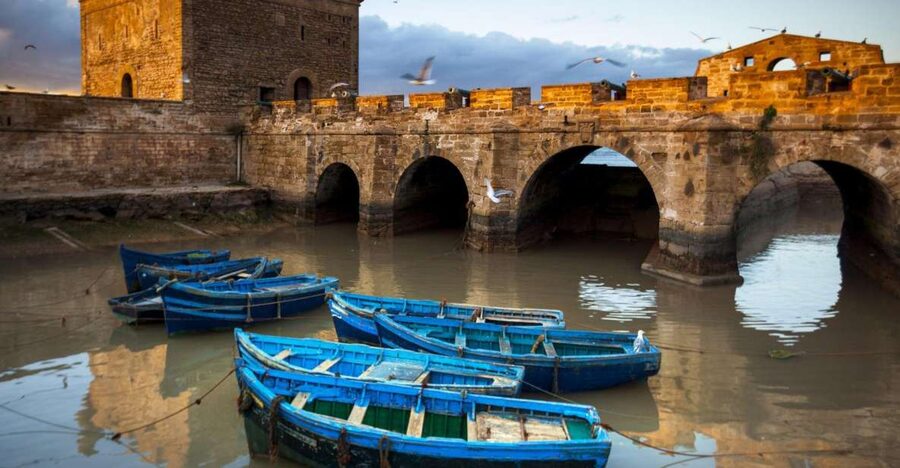 From Agadir or Taghazout: Essaouira Day Trip with Transfer - Walking through the UNESCO-listed Medina
