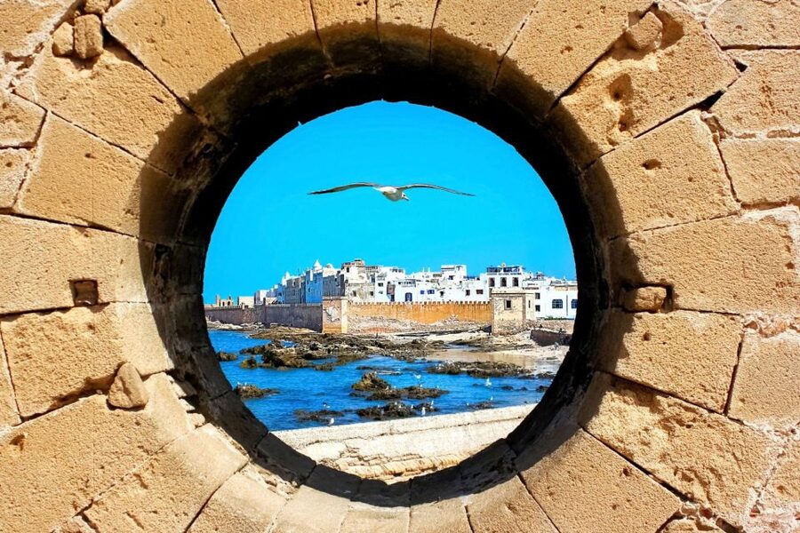 From Agadir or Taghazout: Essaouira Day Trip with Transfer - Free time for food, alleys, and the long beach