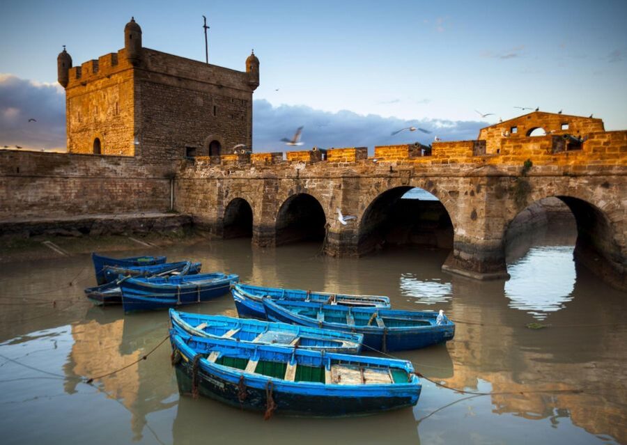 From Agadir or Taghazout: Essaouira Day Trip with Transfer - Who should book this Essaouira day trip?