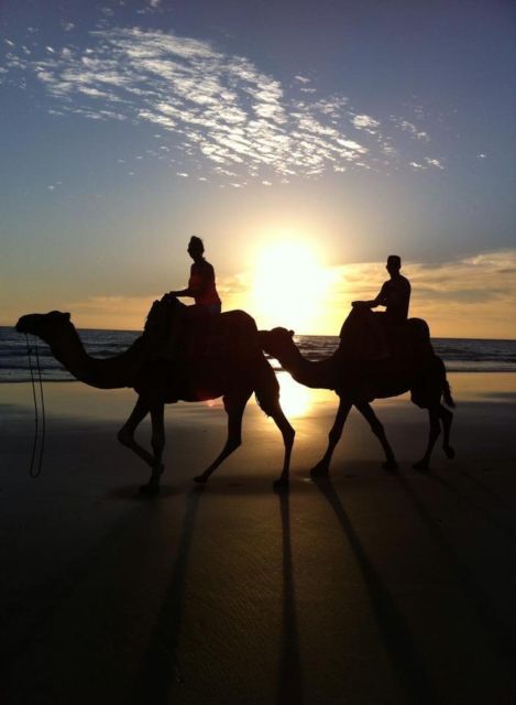 From Agadir/Taghazout: Buggy Safari Adventure & Moroccan Tea - Who will enjoy this best?