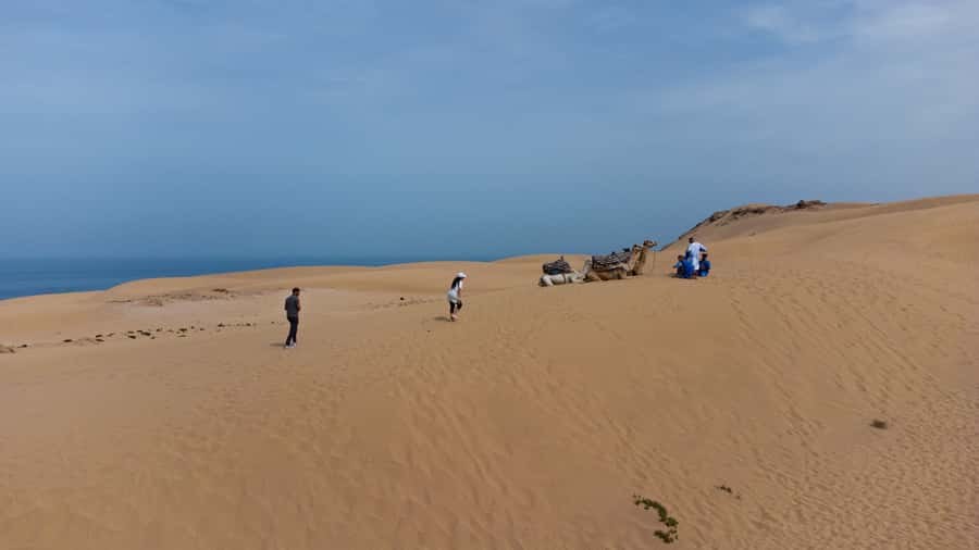 From Agadir/Taghazout: Sahara Sand Dunes with Transfer - Key things to know before booking