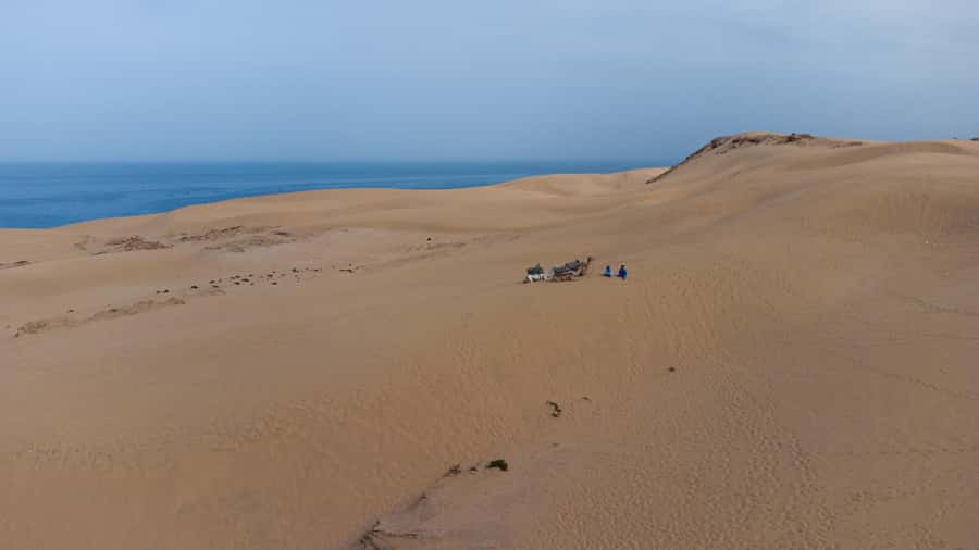 From Agadir/Taghazout: Sahara Sand Dunes with Transfer - Arriving where the dunes meet the sea