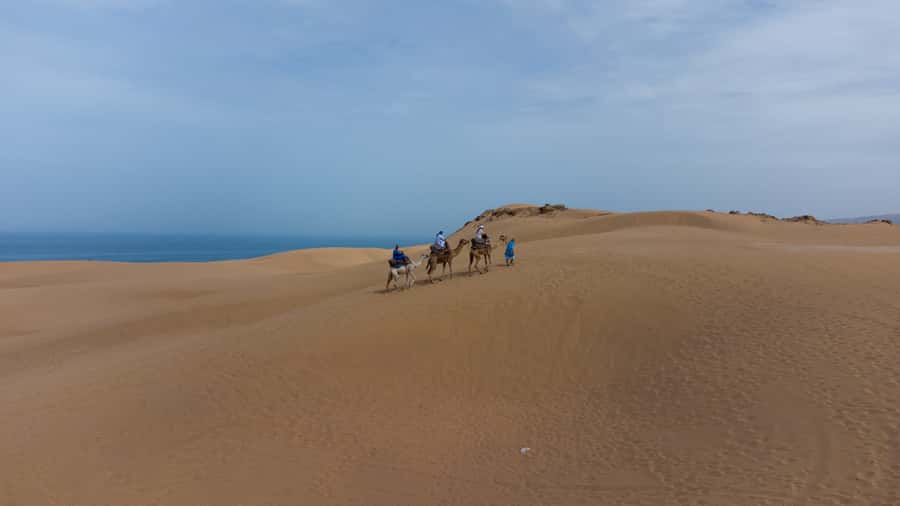 From Agadir/Taghazout: Sahara Sand Dunes with Transfer - How much time you get at the dunes