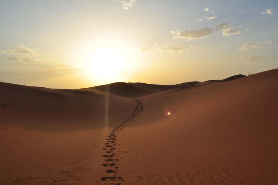 From Agadir/Taghazout: Sahara Sand Dunes with Transfer - What the $49 price really buys you