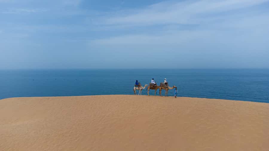 From Agadir/Taghazout: Sahara Sand Dunes with Transfer - The guides can shape the whole outing