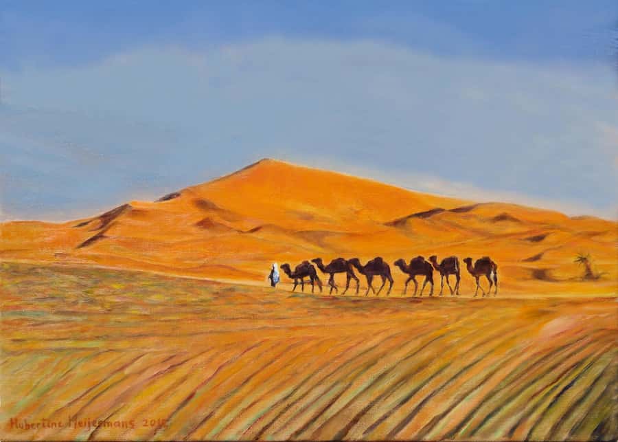 From Agadir/Taghazout: Sahara Sand Dunes with Transfer - Who should book this dune trip?