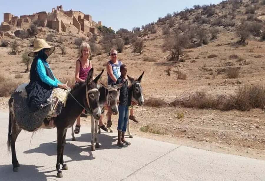 From Agadir: Taroudant & Tiout guided excursion - Souks, carpets, and the shopping question