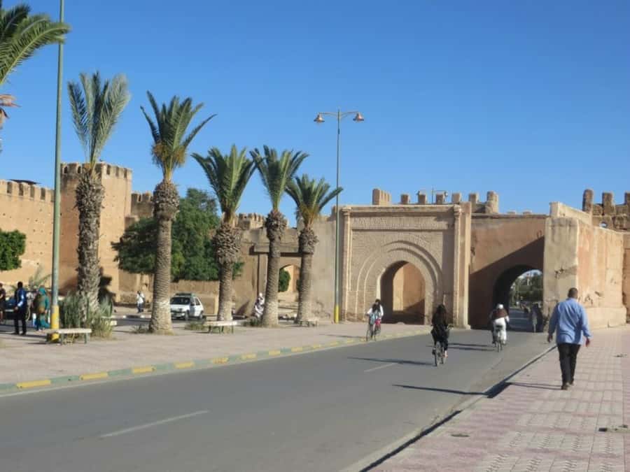 From Agadir: Taroudant & Tiout guided excursion - The roadside goat photo stop