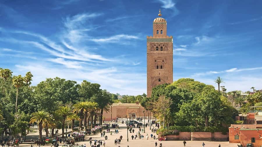 From Casablanca: Day Trip to Marrakech with Camel Ride - A long but useful day from Casablanca