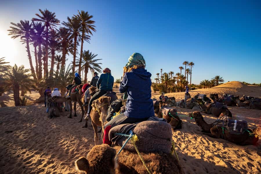 From Casablanca: Day Trip to Marrakech with Camel Ride - Bahia Palace and the Mellahs old streets