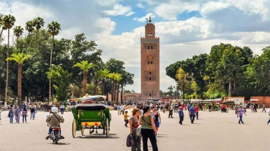 From Casablanca: Day Trip to Marrakech with Camel Ride - Souk Semmarine and the Medinas working lanes