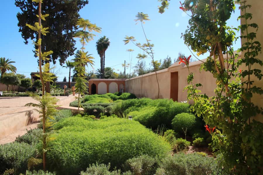 From Casablanca: Marrakech Guided Day Trip with Camel Ride - Secret Garden: a quiet break among the old lanes