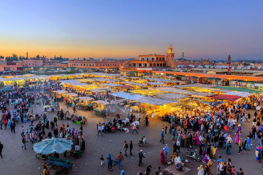 From Casablanca: Marrakech Guided Day Trip with Camel Ride - Menara Gardens and the Atlas Mountain backdrop