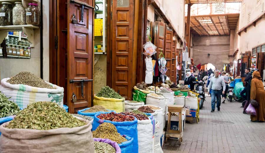 From Casablanca: Marrakech Guided Day Trip with Camel Ride - The Palmeraie camel ride comes at the end