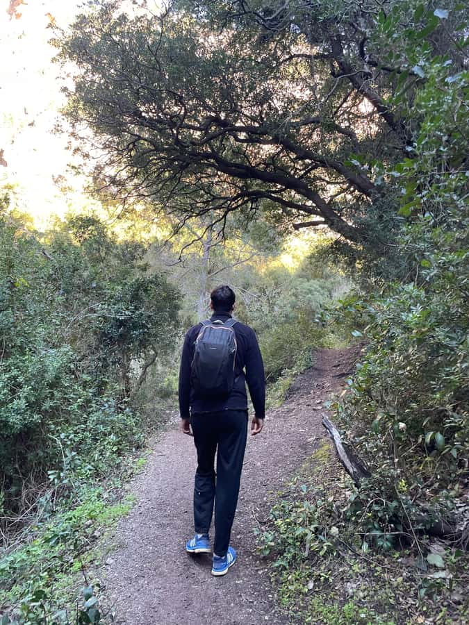 From Chefchaouen: Full-Day Trip to Akchour Waterfalls - The guides are the heart of the day