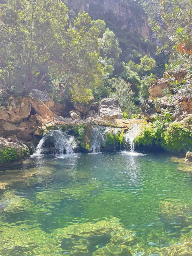 From Chefchaouen: Full-Day Trip to Akchour Waterfalls - Swimming in the natural pools