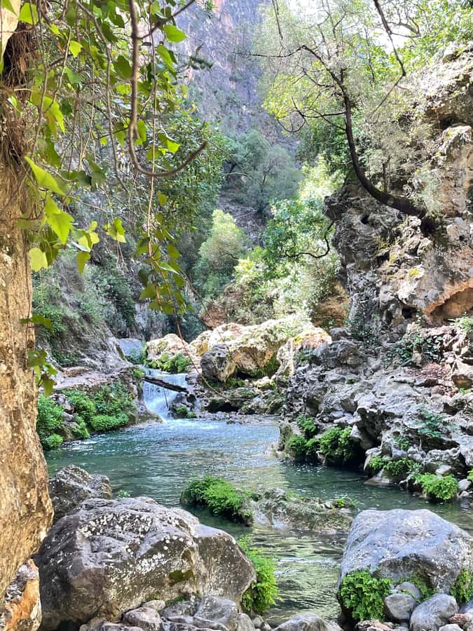 From Chefchaouen: Full-Day Trip to Akchour Waterfalls - What $73 is really buying you