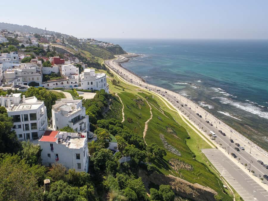 From Costa del Sol: Discover Tangier on a Guided Day Trip - Who will enjoy this Tangier day?