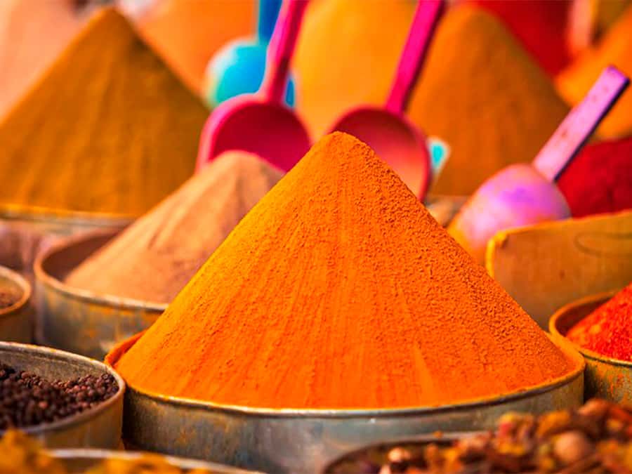 From Costa del Sol: Discover Tangier on a Guided Day Trip - From the Costa del Sol to Algeciras