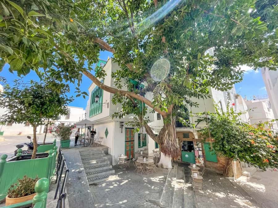 From Costa del Sol: Discover Tangier on a Guided Day Trip - Walking through the Kasbah and Medina