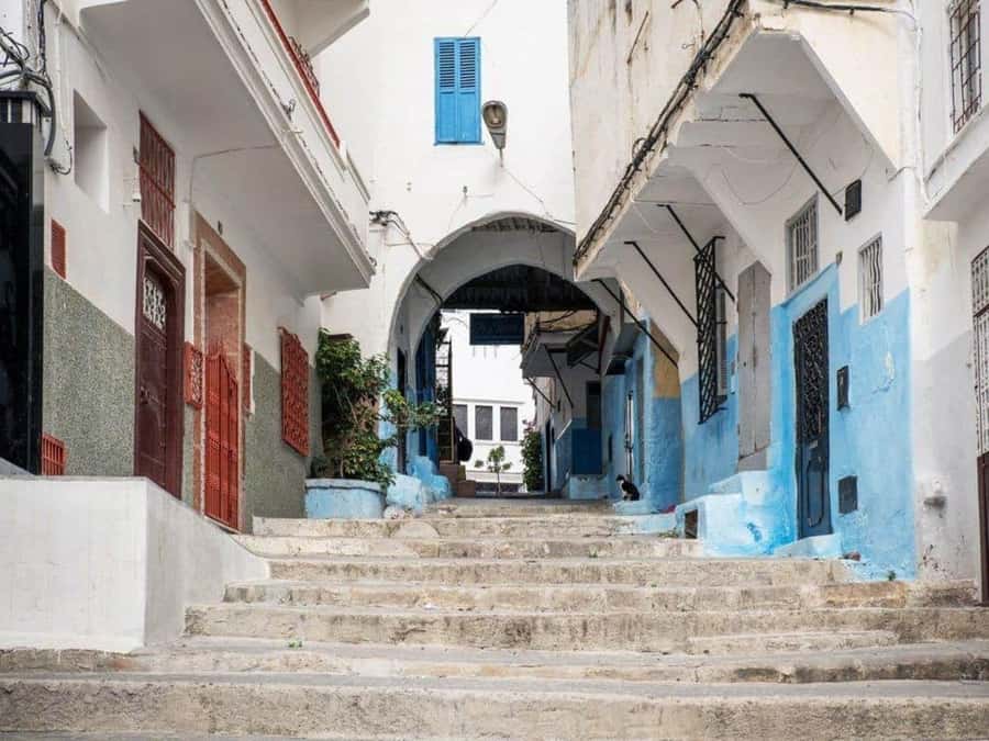 From Costa del Sol: Discover Tangier on a Guided Day Trip - Bazaar, Berber pharmacy, or free time