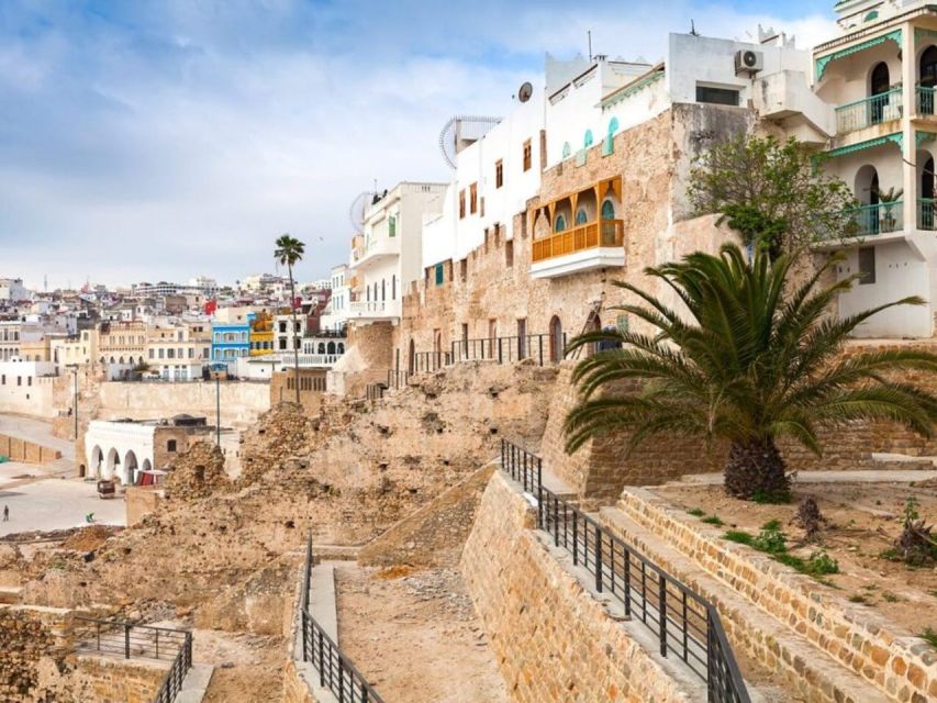 From Costa del Sol: Discover Tangier on a Guided Day Trip - Is $212 a fair price?