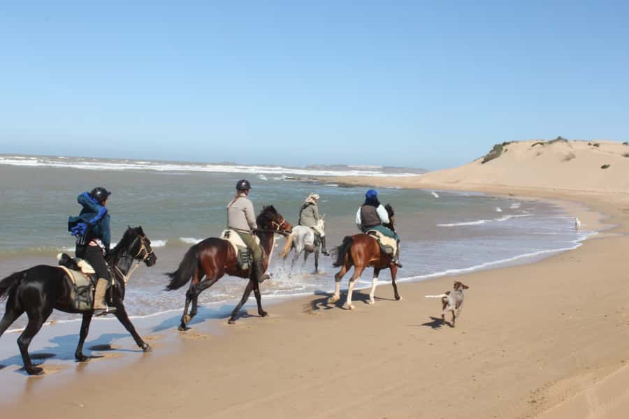 From Essaouira: 1-Hour Horse Ride - Key points to know before booking