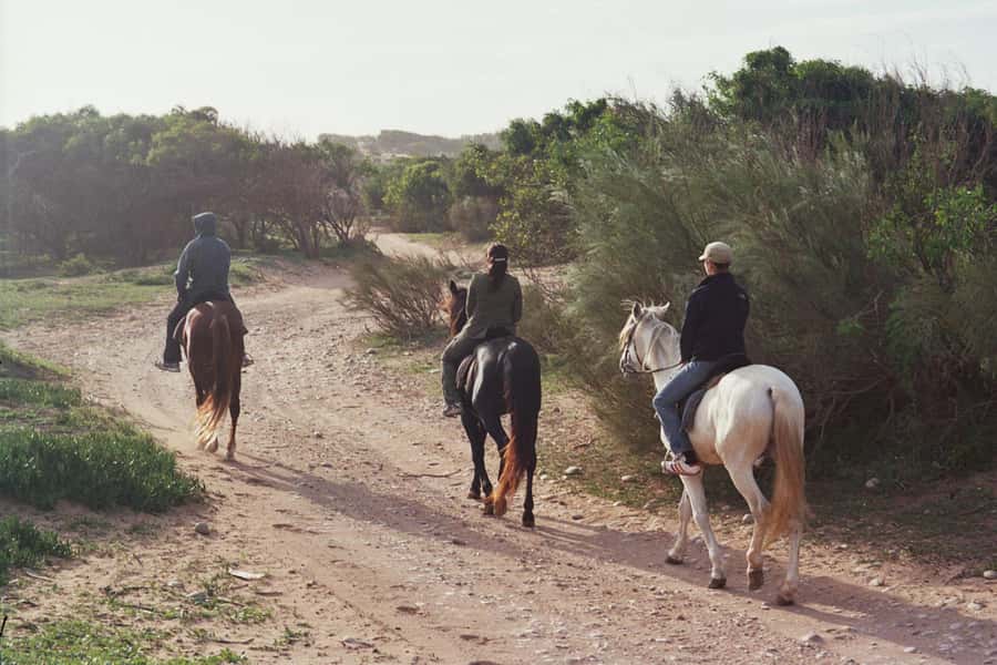 From Essaouira: 1-Hour Horse Ride - From Bab Marrakech to the Ranch de Diabat