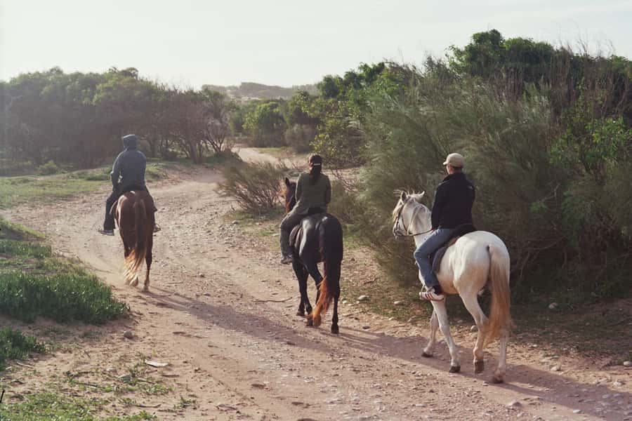 From Essaouira: 1-Hour Horse Ride - Across the river toward Sultan Mohammed III’s palace ruins