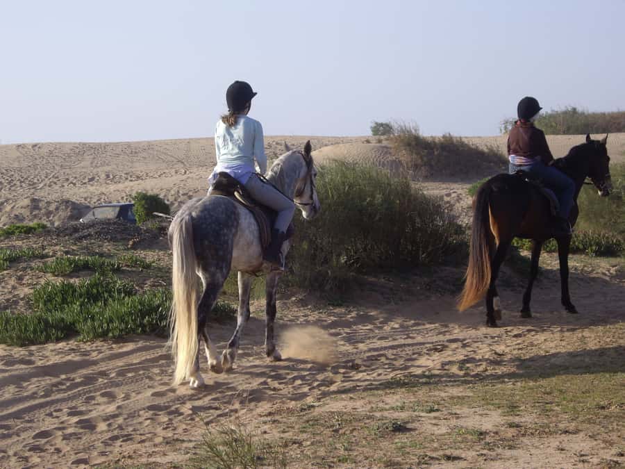 From Essaouira: 1-Hour Horse Ride - Is $38 good value for one hour?