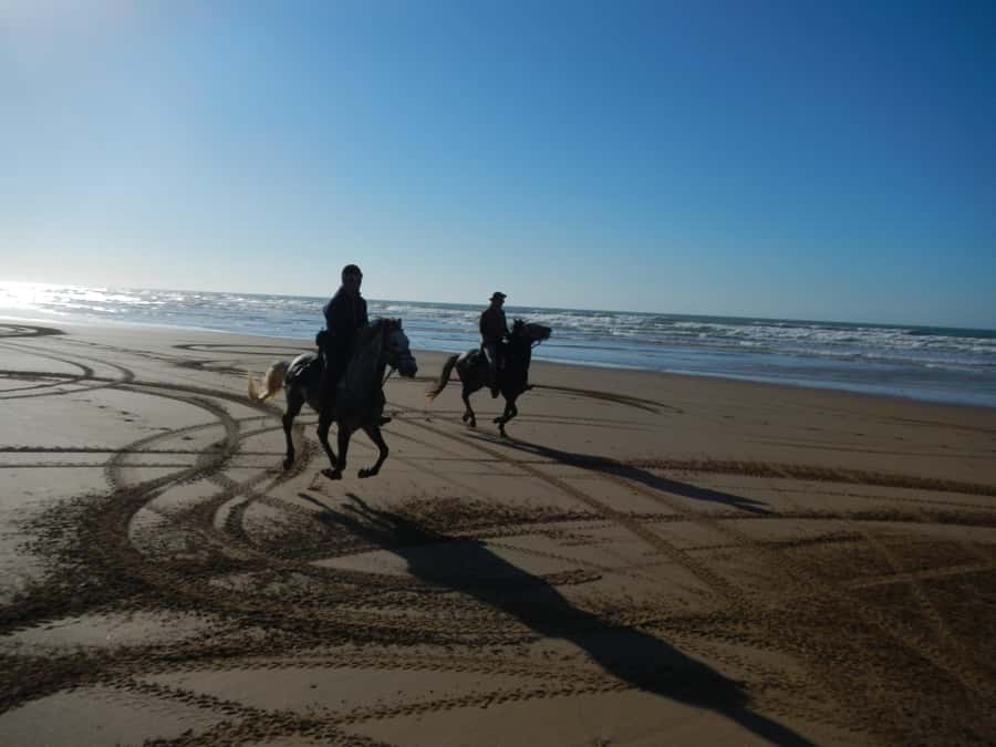 From Essaouira: 2h Horseback Ride with Sunset - Key points to know before booking