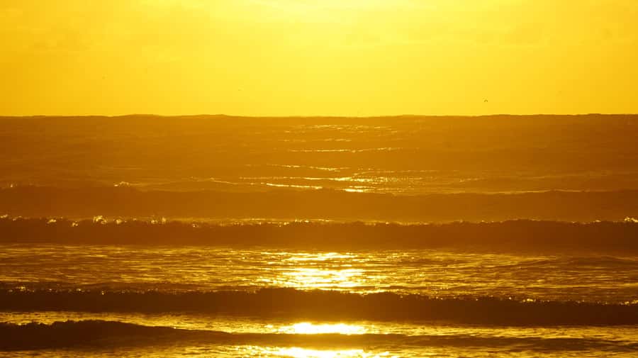 From Essaouira: 2h Horseback Ride with Sunset - The first hour: beach, ocean, and open sand