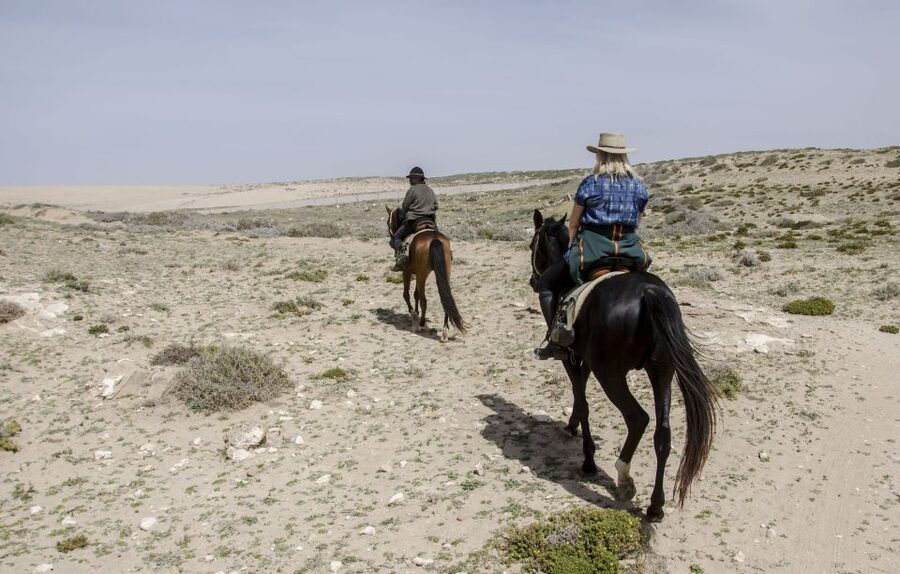 From Essaouira: 2h Horseback Ride with Sunset - Beginner support and family suitability