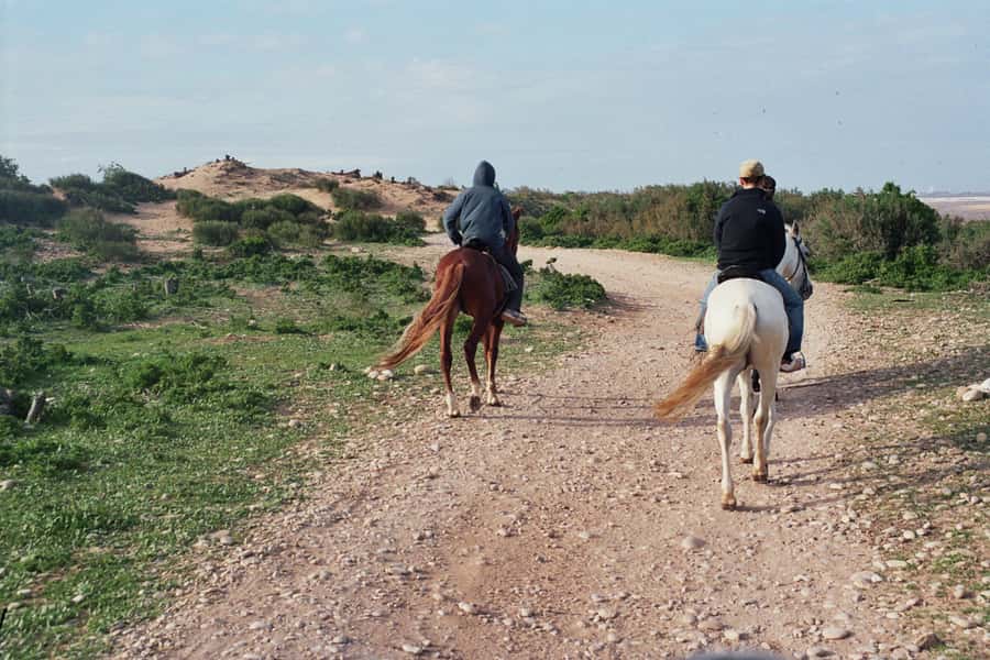From Essaouira: 2h Horseback Ride with Sunset - Pickup from Essaouira and the $73 value