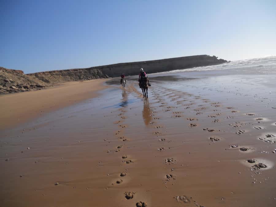 From Essaouira: 2h Horseback Ride with Sunset - Meeting the horses at Ranch de Diabat