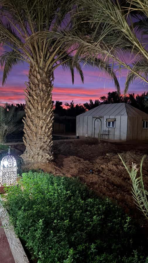 From Fes: 2-Day Desert Tour with Return to Fes or Marrakech - Key points at a glance