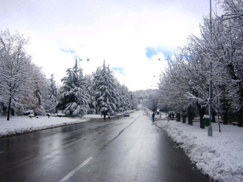 From Fes: 2-Day Desert Tour with Return to Fes or Marrakech - Azrou cedar forest and the Barbary macaques