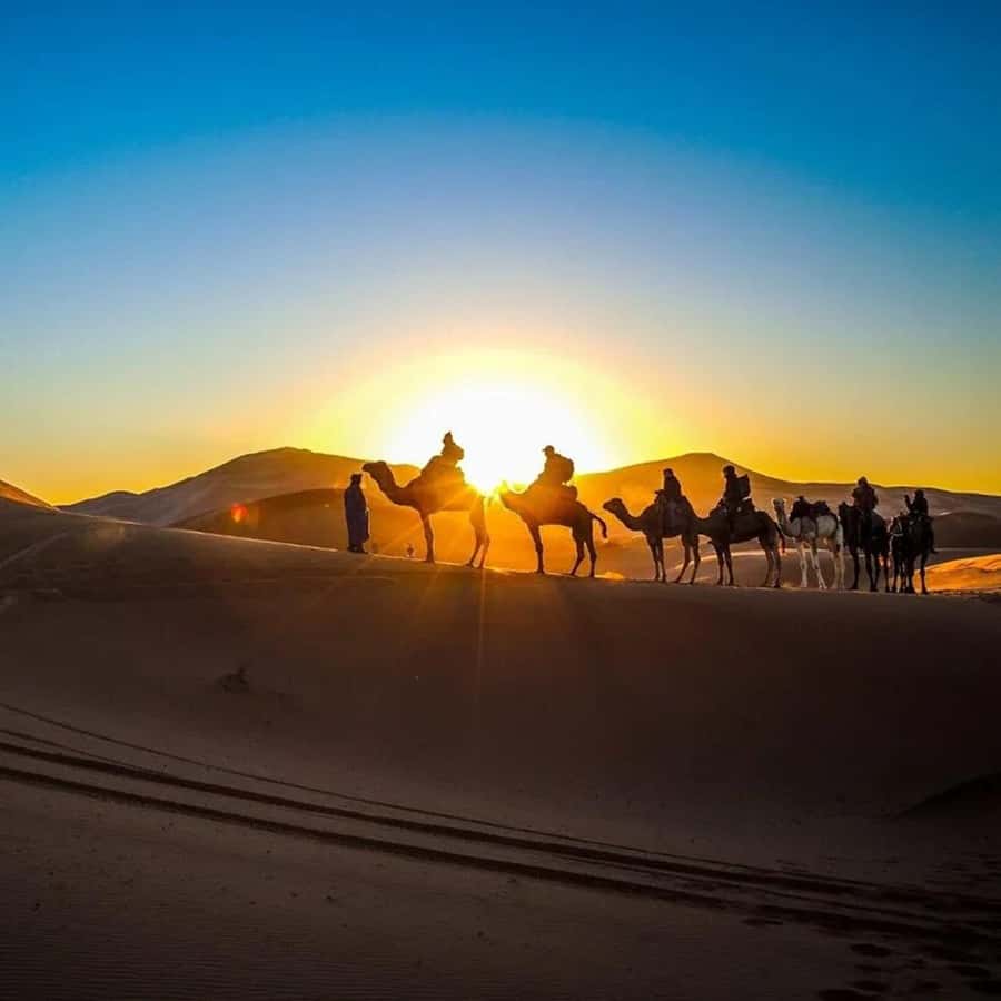 From Fes: 2-Day Luxury Desert Tour to Marrakech & Back Fez - The big question: can Fes to the Sahara fit into two days?