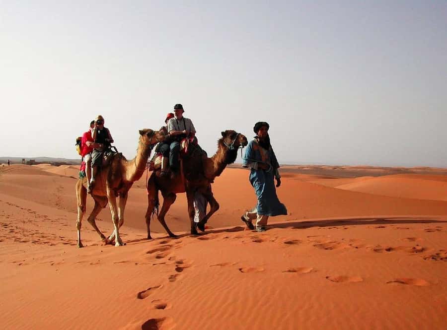 From Fes: 2-Day Luxury Desert Tour to Marrakech & Back Fez - Ifrane and the cedar forests