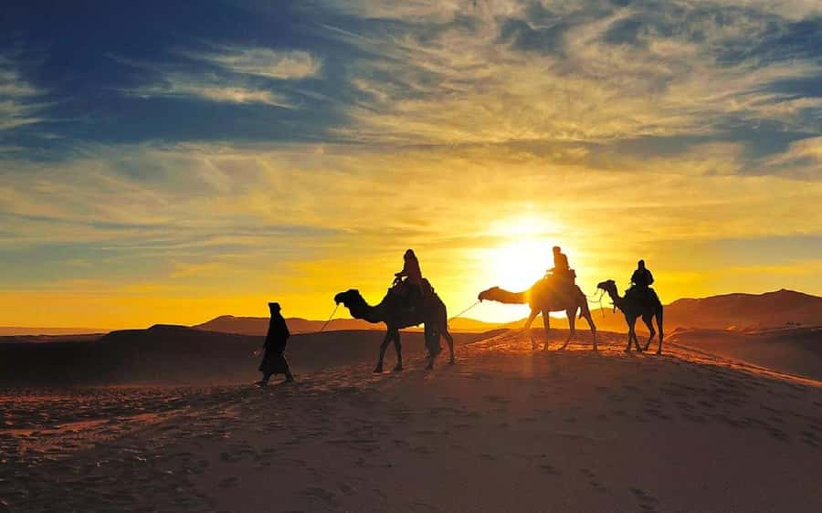 From Fes: 2-Day Luxury Desert Tour to Marrakech & Back Fez - A luxury desert camp with practical limits