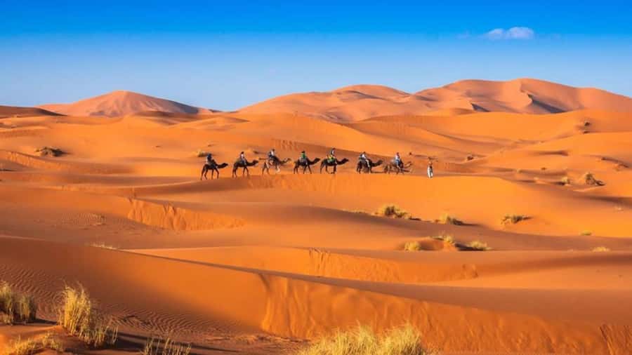 From Fes: 2-Day Merzouga Desert Trip w/Luxury Tent & Dinner - Drivers, Groups, and Day-to-Day Comfort