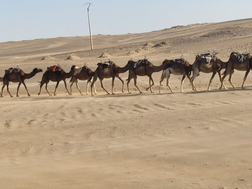 From Fes: 2 Day Round Trip Via Merzouga Desert & Camel Trek - Sunrise Near the Algerian Border
